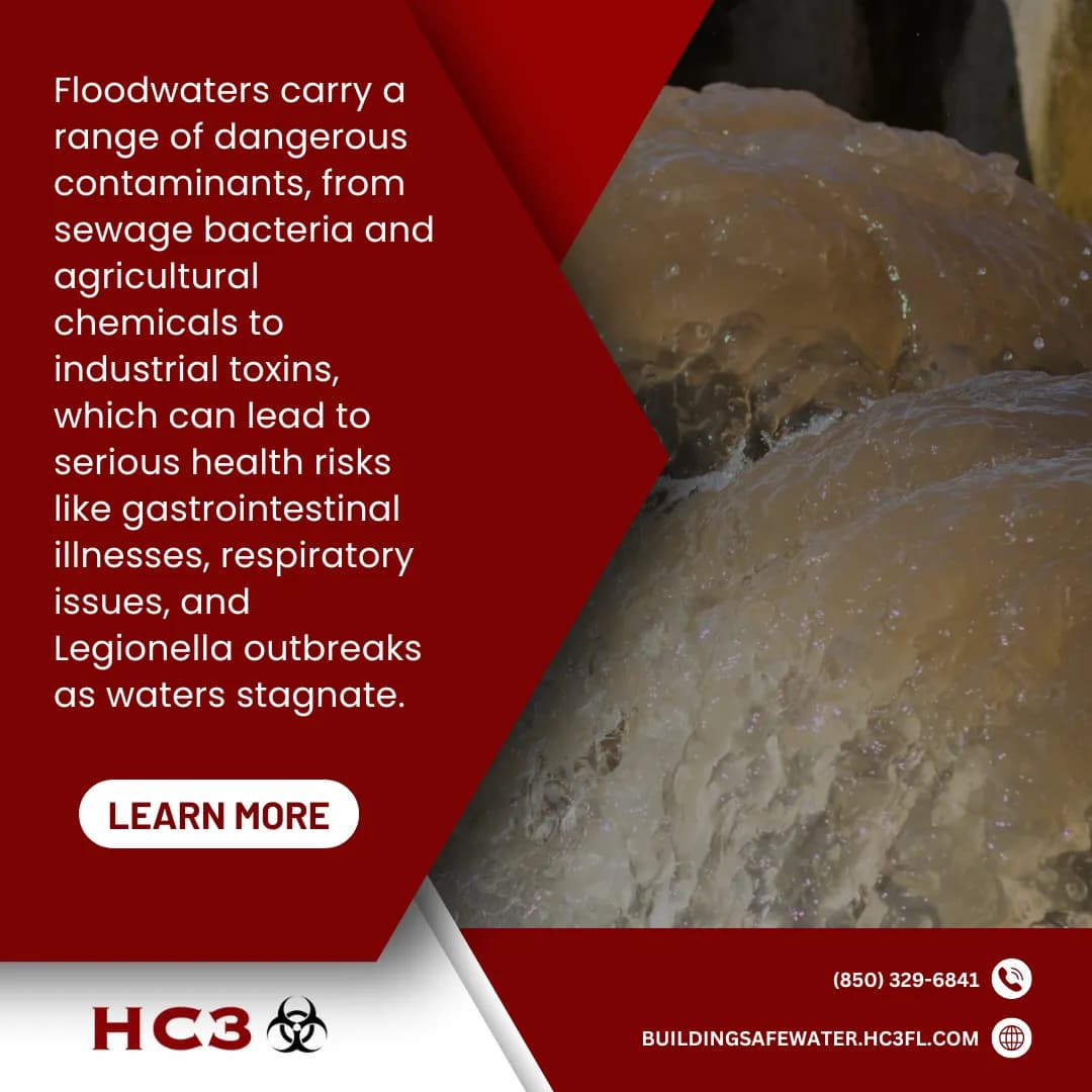 How Floodwaters Can Compromise Public Health — visual note 2