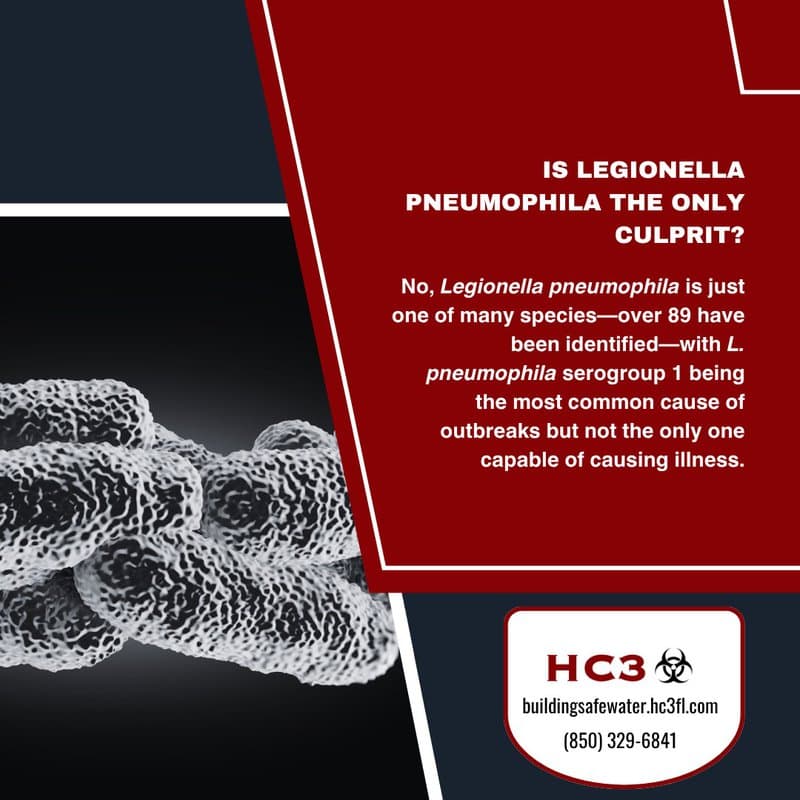 Understanding Legionnaires' Disease: Common Questions Answered by Dr. - HC3FL