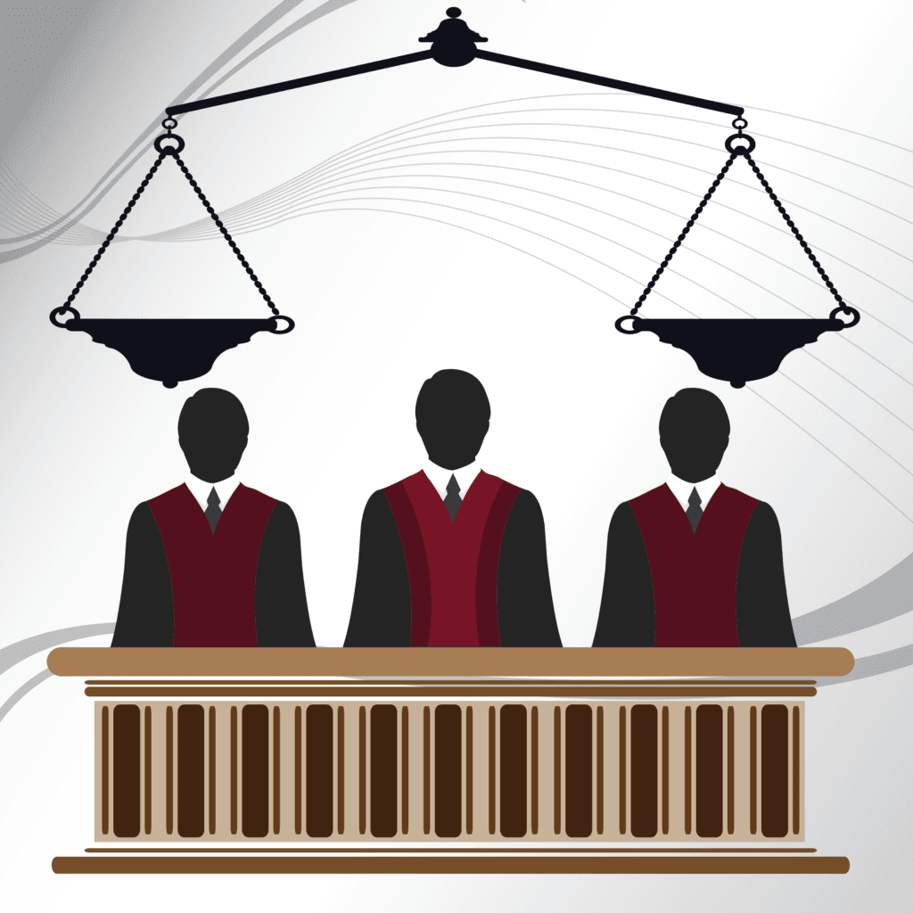 Healthcare consulting expert witness testimony